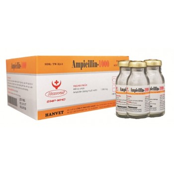 AMPICILLIN-1000